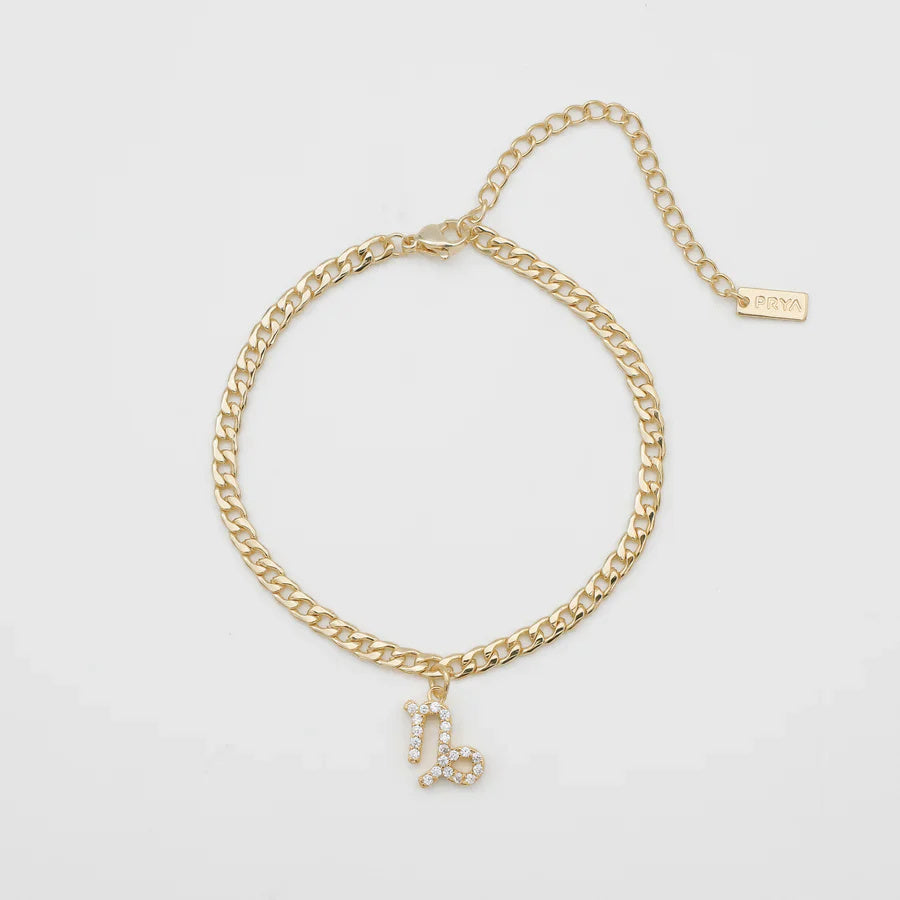 Simple Micro Inlaid Zircon Chain Constellation Anklet