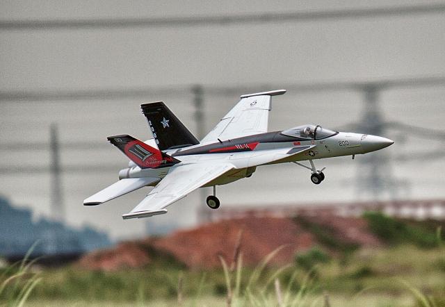 Freewing 64 EDF JET F18 f-18 Plane Super Hornet EPO plane airplane/RC MODEL HOBBY TOY 64mm EDF 4 channel plane(have KIT or PNP)